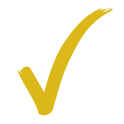 Yellow Tick Icon